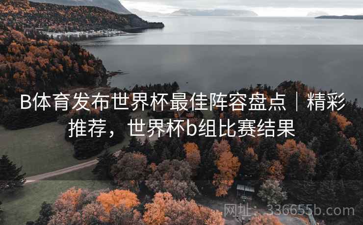 B体育发布世界杯最佳阵容盘点｜精彩推荐，世界杯b组比赛结果