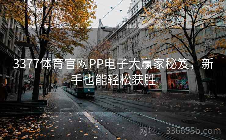 3377体育官网PP电子大赢家秘笈，新手也能轻松获胜