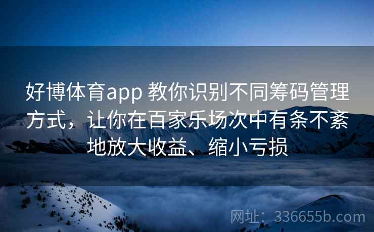 好博体育app 教你识别不同筹码管理方式，让你在百家乐场次中有条不紊地放大收益、缩小亏损